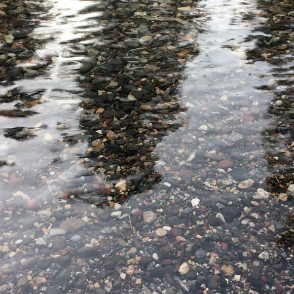 Meet your Posher, Krissy - Picture 1 of 1